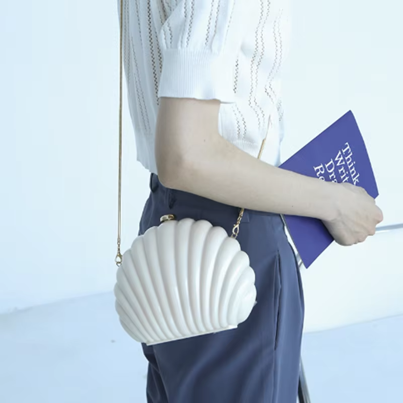 Lady Mini Shell Bag Acrylic Hi - Luxury Bags Cute recension och pris
